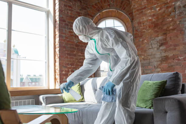 Best Emergency Mold Remediation  in Kerman, CA