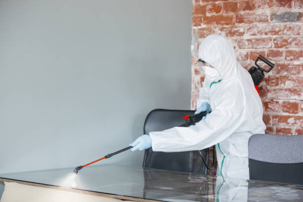 Mold Remediation for Vacation Homes in Kerman, CA