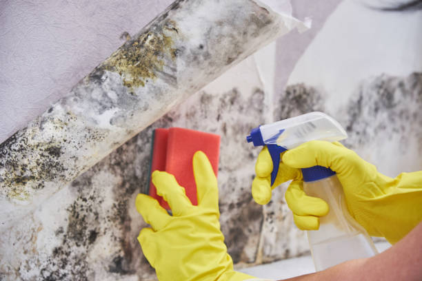 Best Industrial Mold Remediation  in Kerman, CA